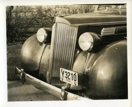 Print, Photographic