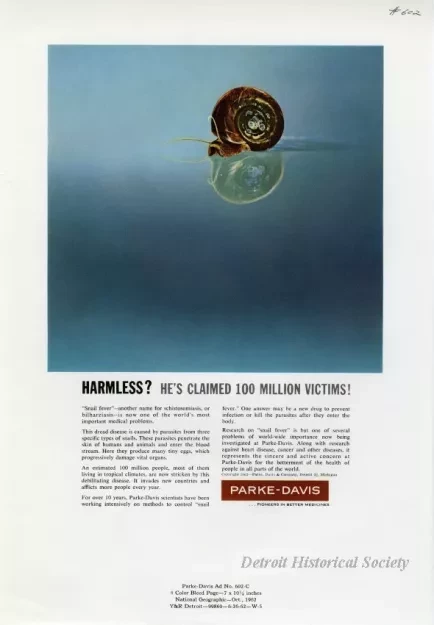 Advertisement