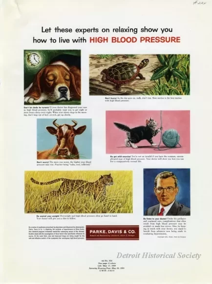 Advertisement