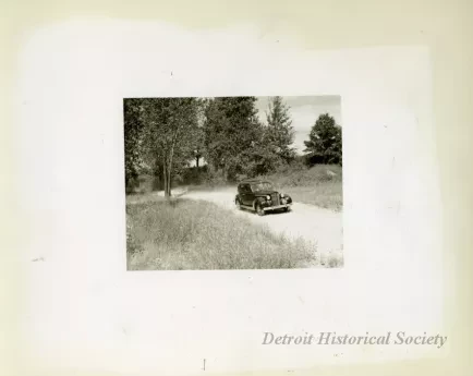 Print, Photographic