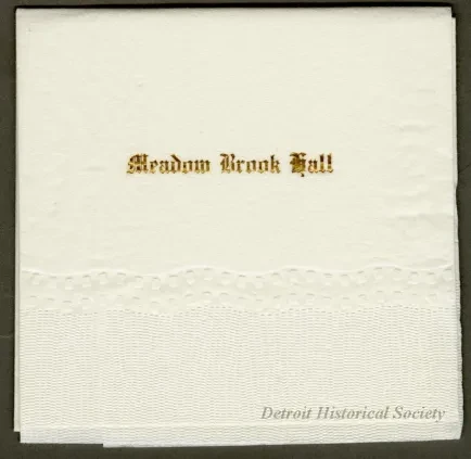 Napkin