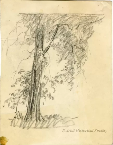 Drawing
