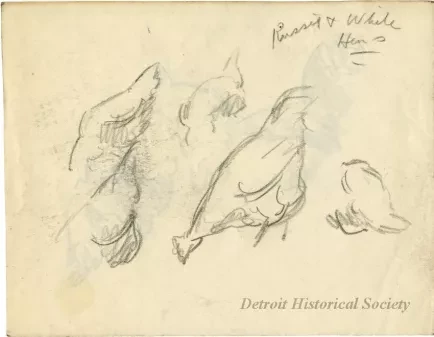 Drawing