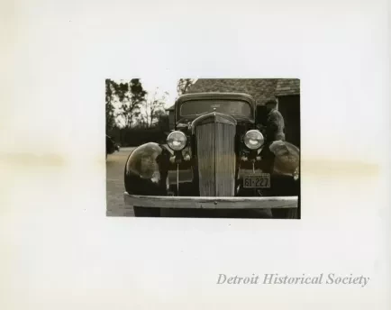 Print, Photographic