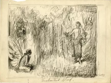 Drawing - Enchanted Wood