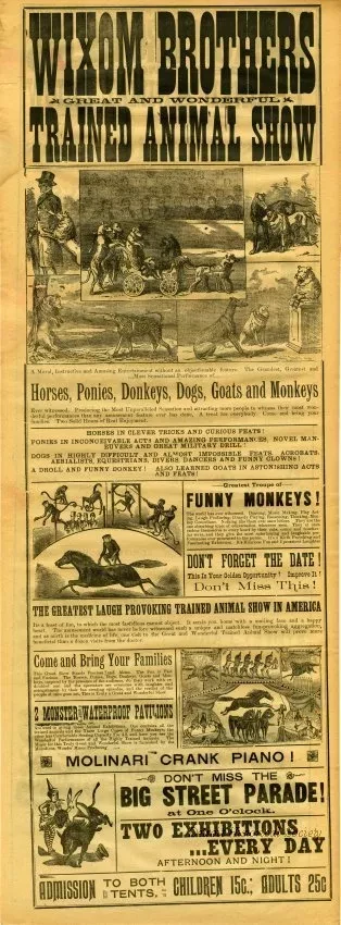 Advertisement
