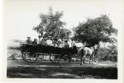 Print, Photographic