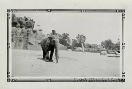 Print, Photographic