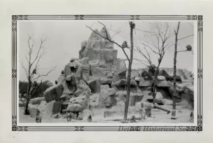 Print, Photographic