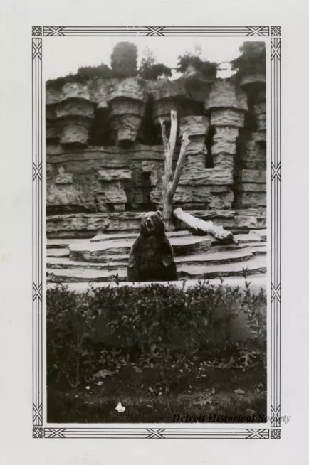 Print, Photographic