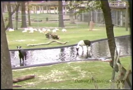 U-Matic - Belle Isle :60, :30