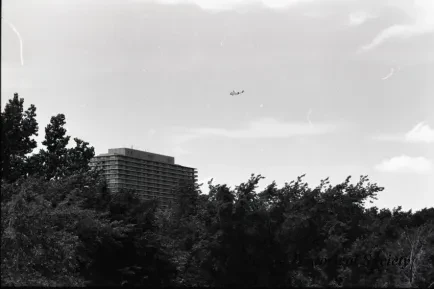 Negative, Film