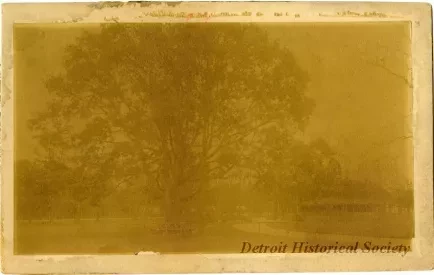 Photograph, Cabinet