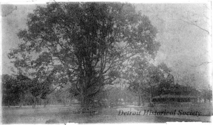 Photograph, Cabinet