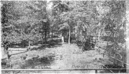 Photograph, Cabinet