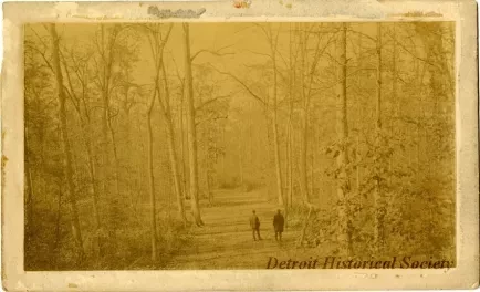 Photograph, Cabinet