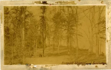 Photograph, Cabinet