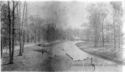 Photograph, Cabinet
