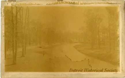 Photograph, Cabinet