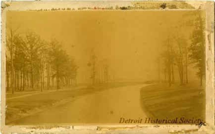 Photograph, Cabinet