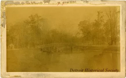 Photograph, Cabinet