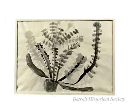 Print, Photographic