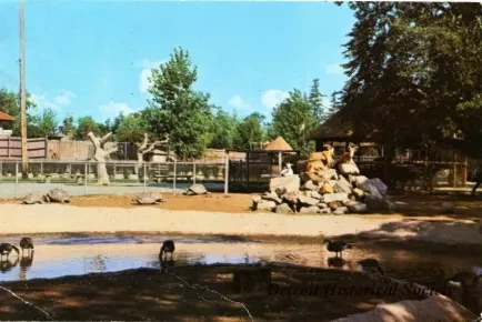 Postcard