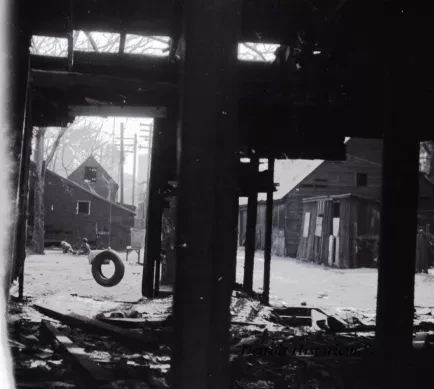 Negative, Roll Film
