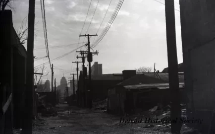 Negative, Roll Film
