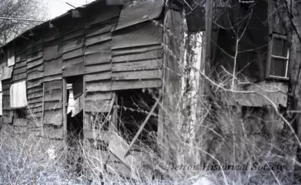 Negative, Roll Film