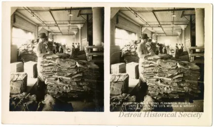 Stereoview