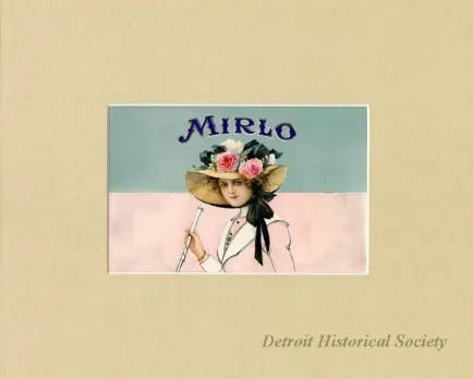 Drawing - Mirlo