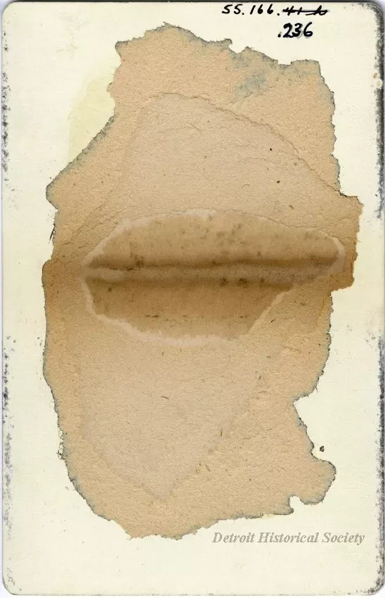 Photograph, Cabinet