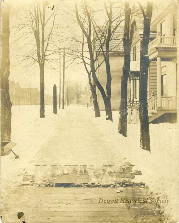 Print, Photographic