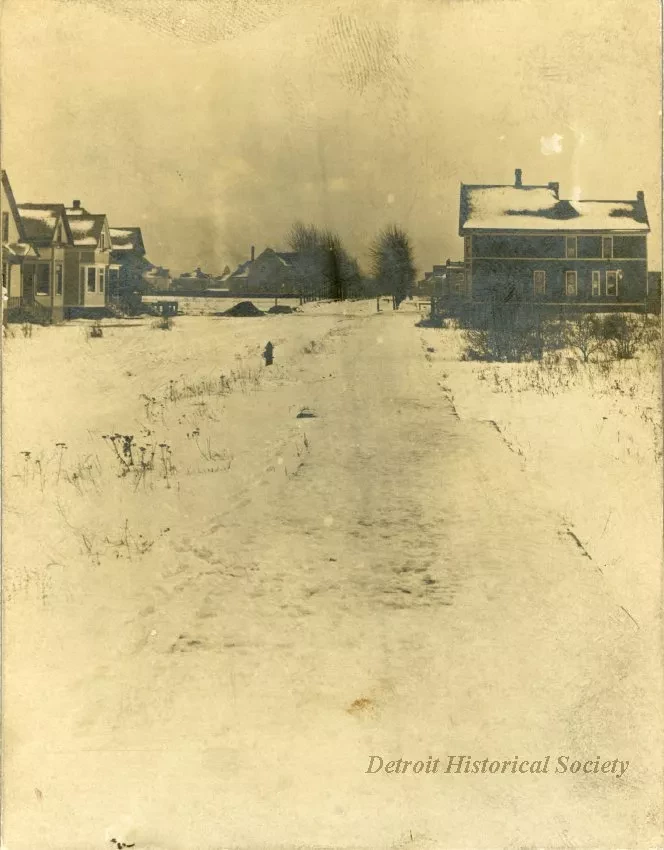 Print, Photographic