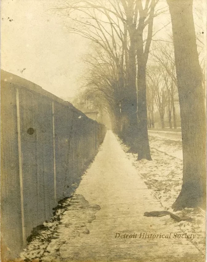 Print, Photographic