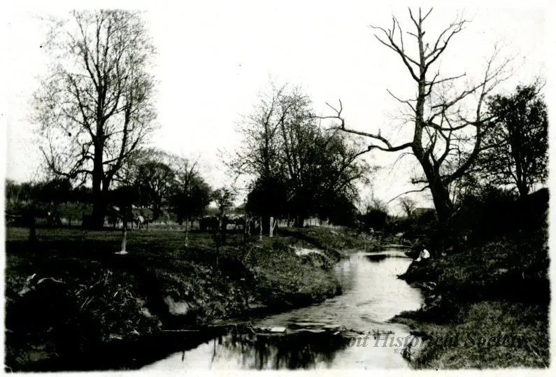 Print, Photographic