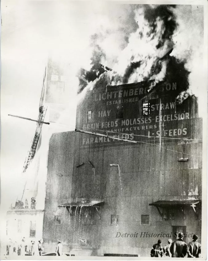 Print, Photographic - Lichtenberg & Son