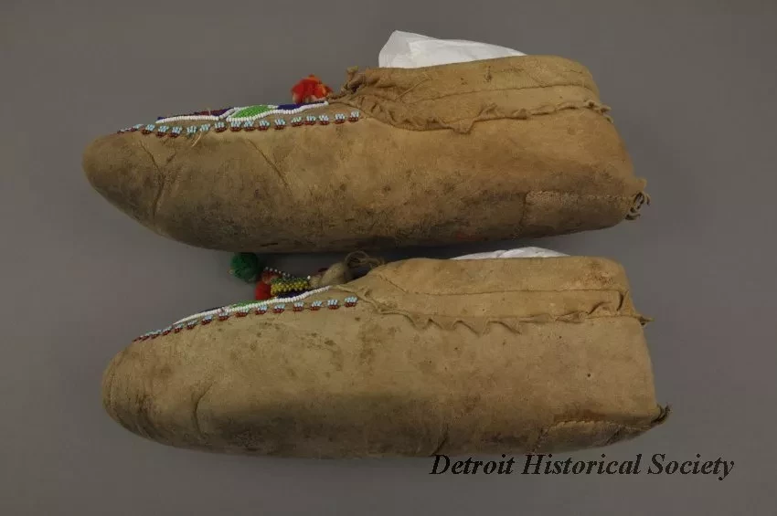 Moccasin