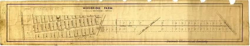 Map - Woodbridge Farm
As Divided by the Commissioners in Partition