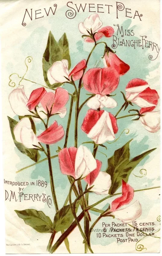 Advertisement