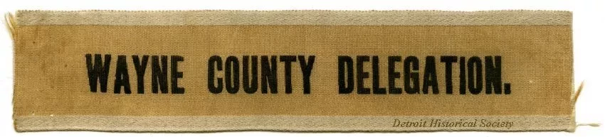 Ribbon, Political