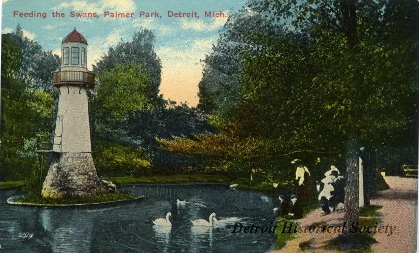 Postcard - Feeding the Swans, Palmer Park, Detroit, Mich.