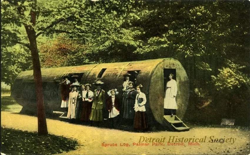Postcard - Spruce Log, Palmer Park, Detroit, Mich.