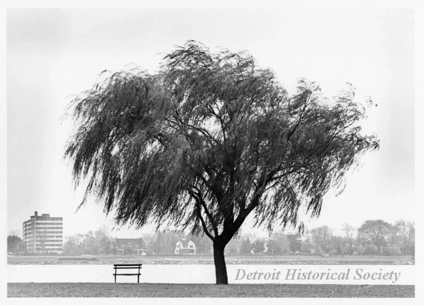 Print, Photographic - Belle Isle