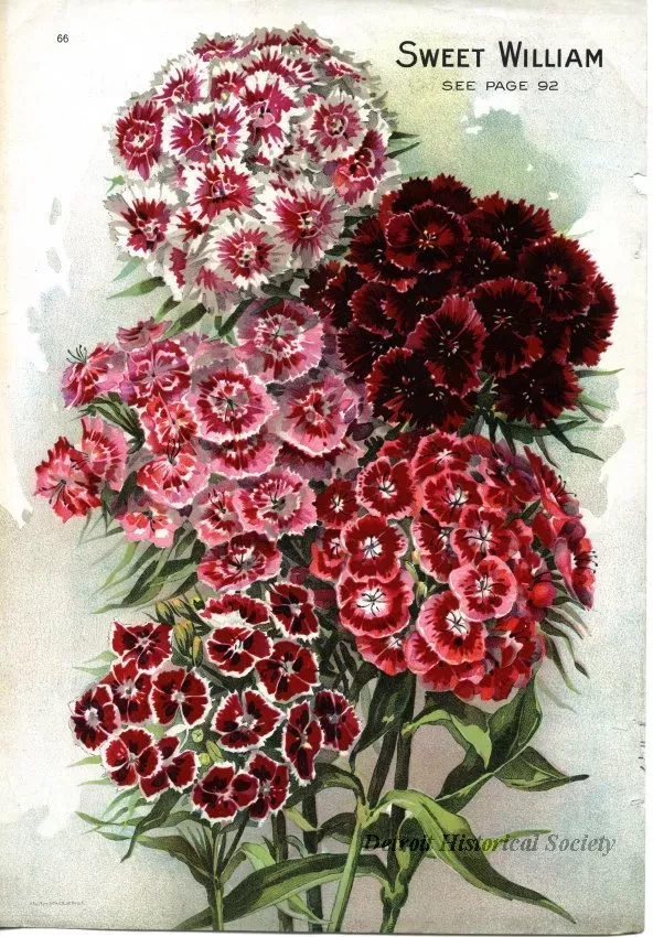 Engraving