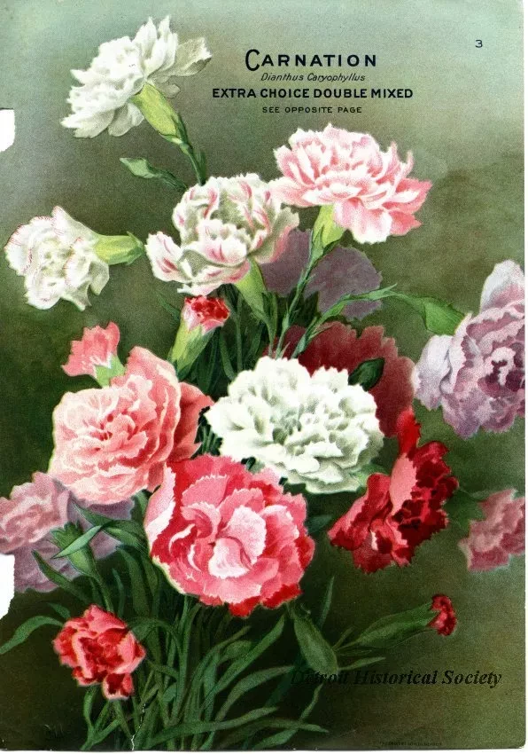 Engraving