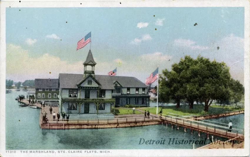 Postcard - The Marshland, Ste. Claire Flats, Mich.