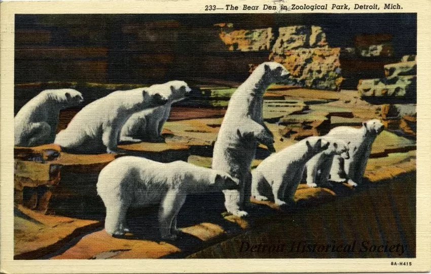 Postcard - The Bear Den in Zoological Park, Detroit, Mich.