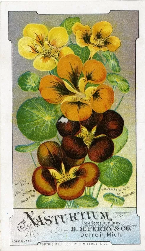 Card, Trade